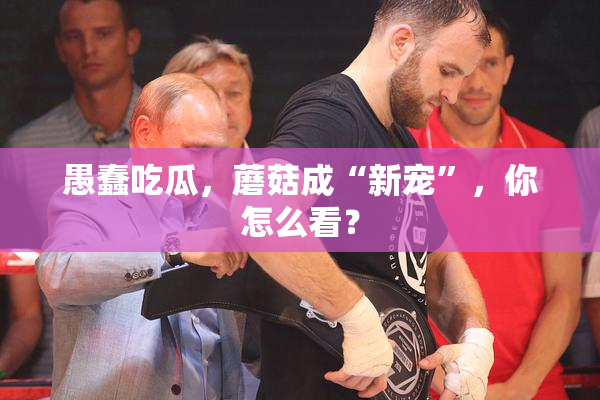 愚蠢吃瓜，蘑菇成“新宠”，你怎么看？