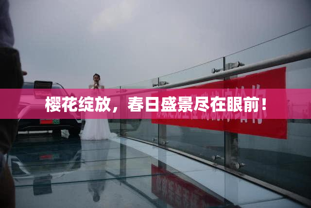 樱花绽放，春日盛景尽在眼前！