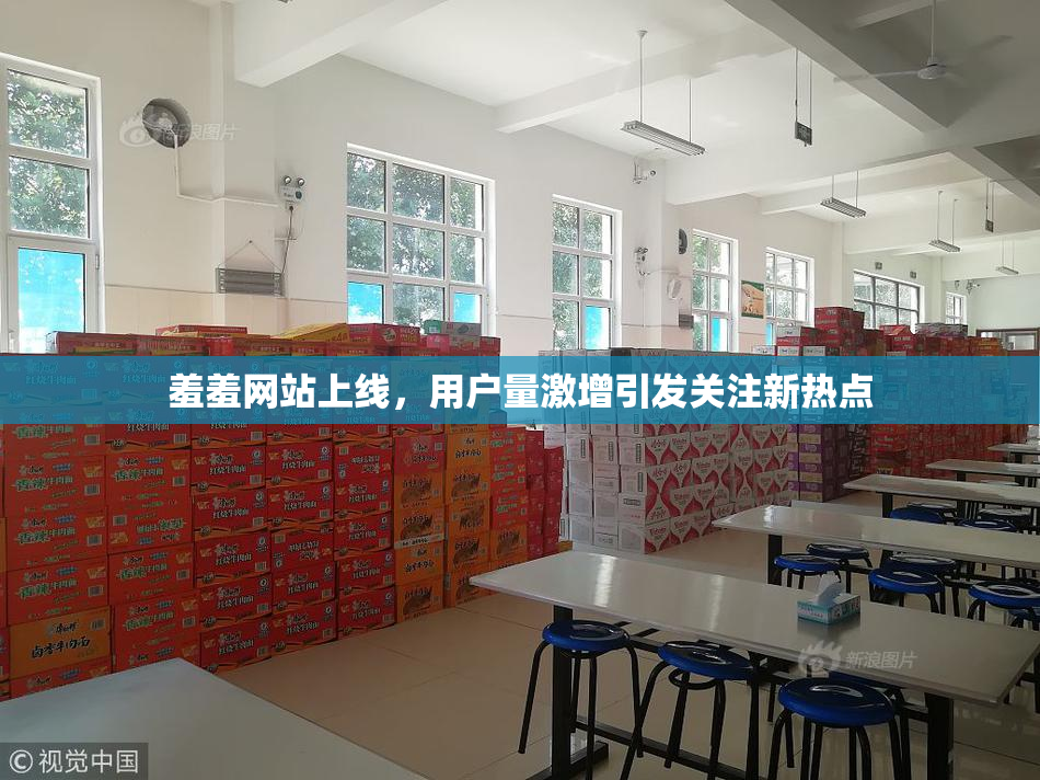 羞羞网站上线，用户量激增引发关注新热点