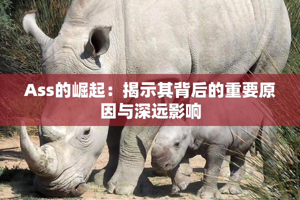 Ass的崛起：揭示其背后的重要原因与深远影响