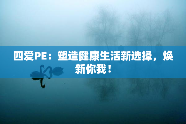 四爱PE：塑造健康生活新选择，焕新你我！