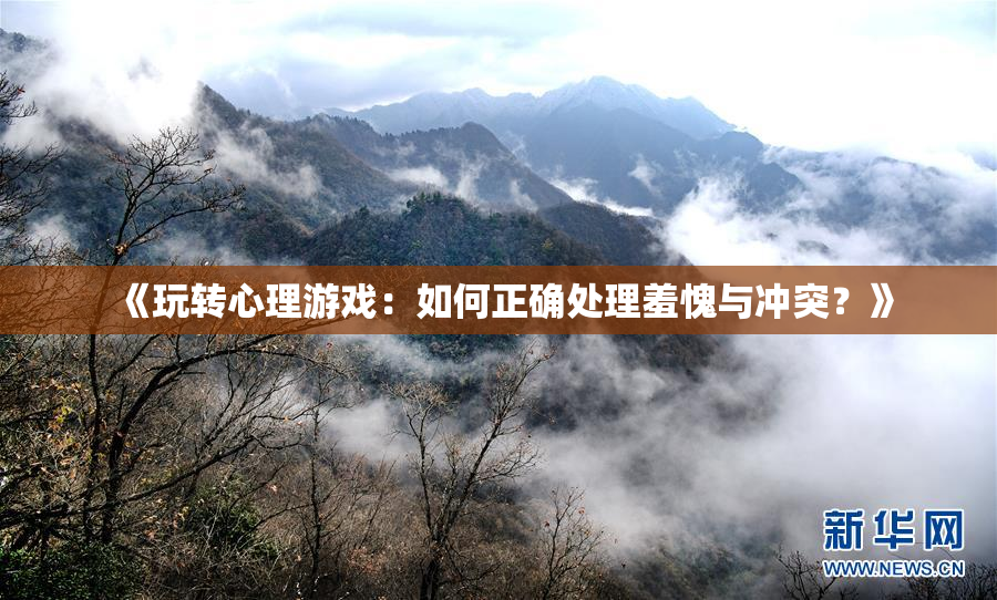《玩转心理游戏：如何正确处理羞愧与冲突？》