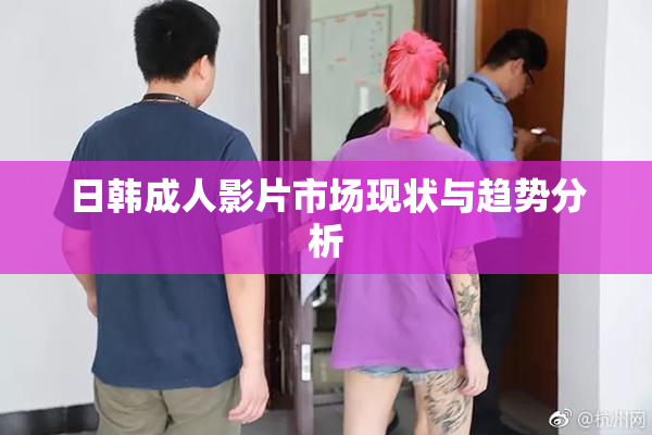 日韩成人影片市场现状与趋势分析