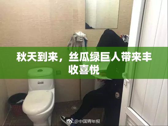 秋天到来，丝瓜绿巨人带来丰收喜悦