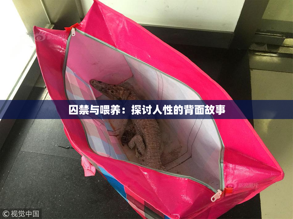 囚禁与喂养：探讨人性的背面故事
