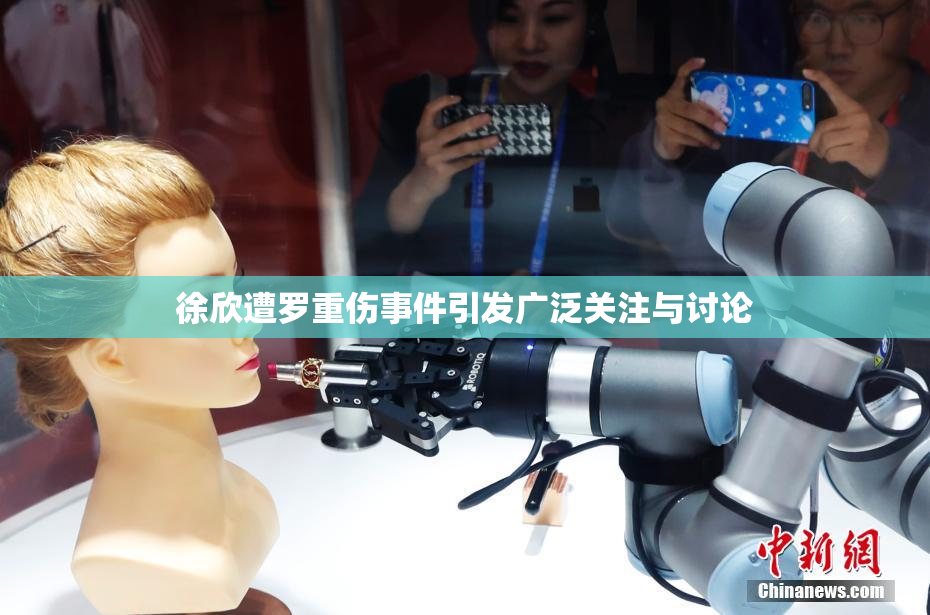徐欣遭罗重伤事件引发广泛关注与讨论