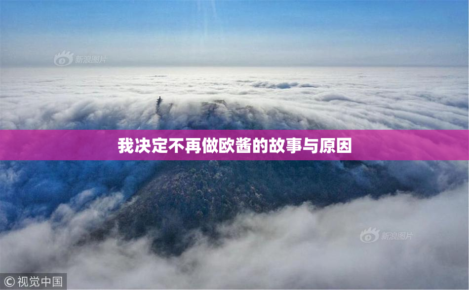 我决定不再做欧酱的故事与原因