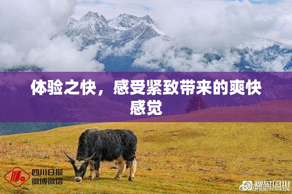 体验之快，感受紧致带来的爽快感觉
