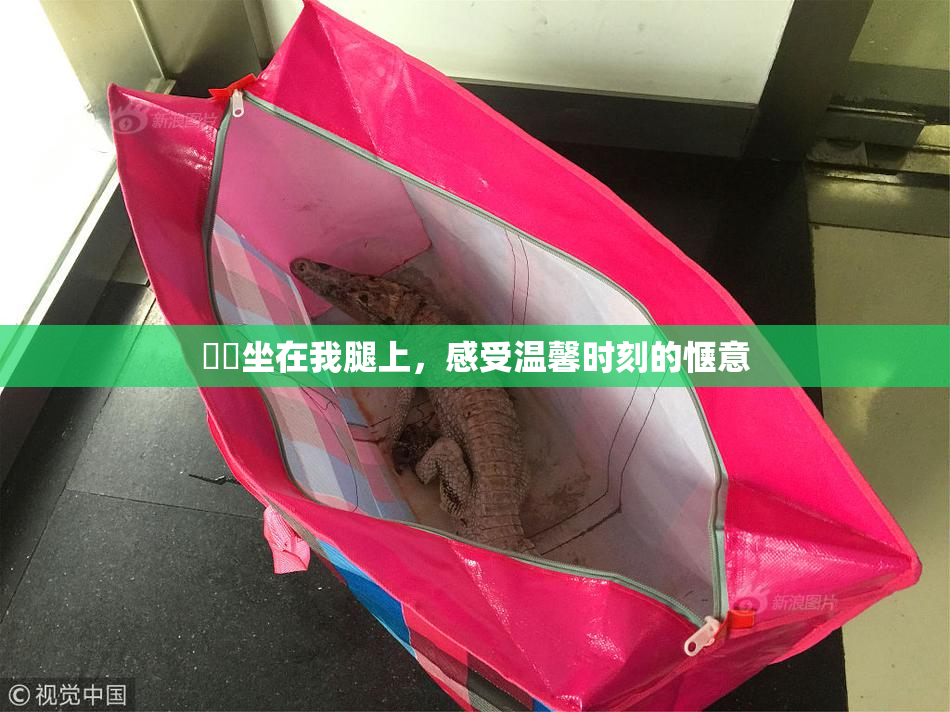 妺妺坐在我腿上，感受温馨时刻的惬意