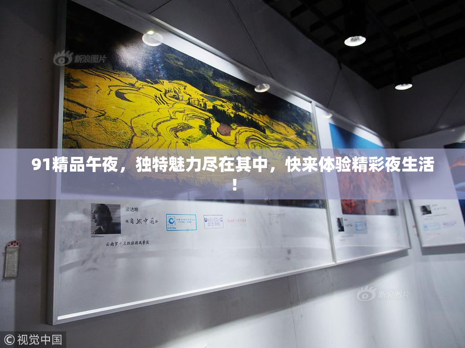 91精品午夜，独特魅力尽在其中，快来体验精彩夜生活！