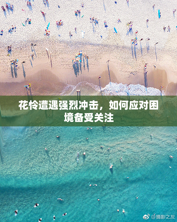 花怜遭遇强烈冲击，如何应对困境备受关注