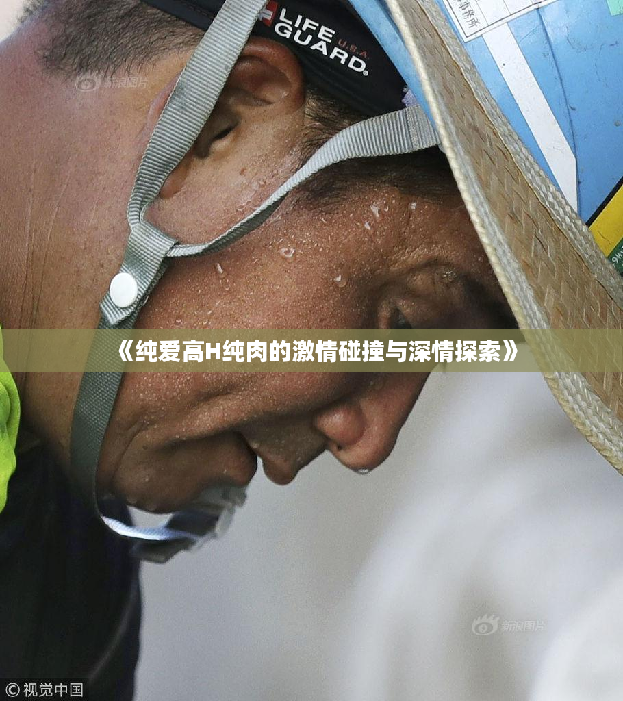 《纯爱高H纯肉的激情碰撞与深情探索》