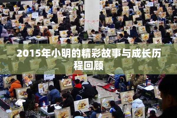2015年小明的精彩故事与成长历程回顾