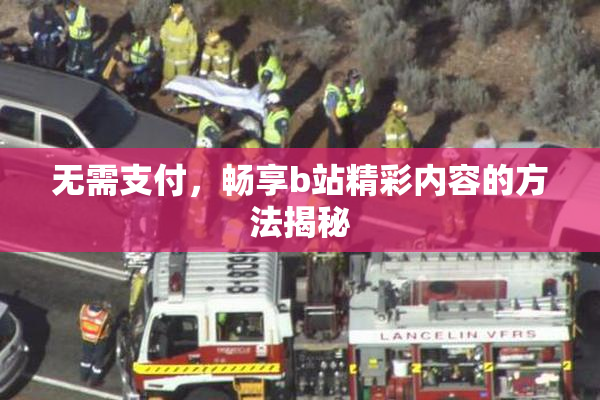 无需支付，畅享b站精彩内容的方法揭秘