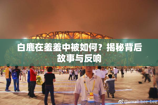 白鹿在羞羞中被如何？揭秘背后故事与反响