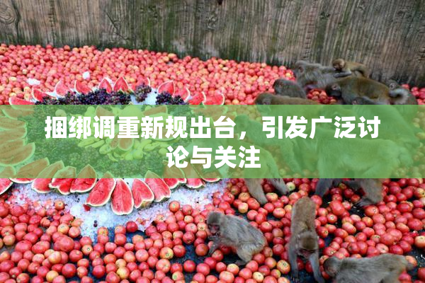 捆绑调重新规出台，引发广泛讨论与关注