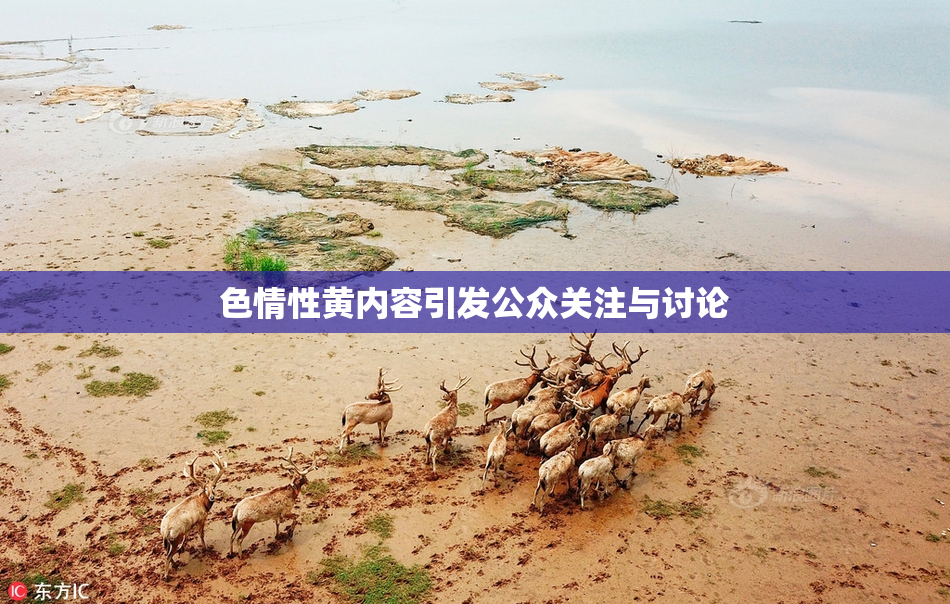 色情性黄内容引发公众关注与讨论