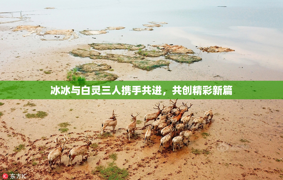 冰冰与白灵三人携手共进，共创精彩新篇
