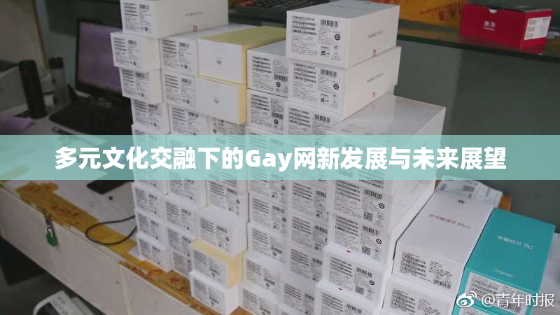 多元文化交融下的Gay网新发展与未来展望