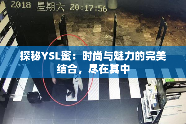 探秘YSL蜜：时尚与魅力的完美结合，尽在其中