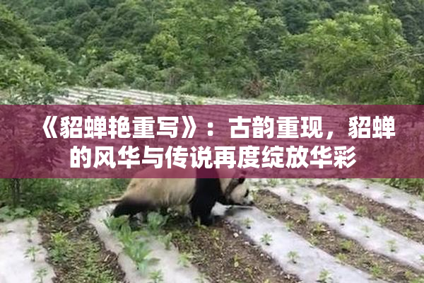 《貂蝉艳重写》：古韵重现，貂蝉的风华与传说再度绽放华彩