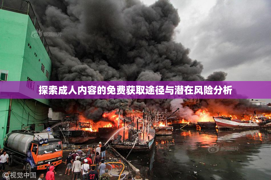 探索成人内容的免费获取途径与潜在风险分析