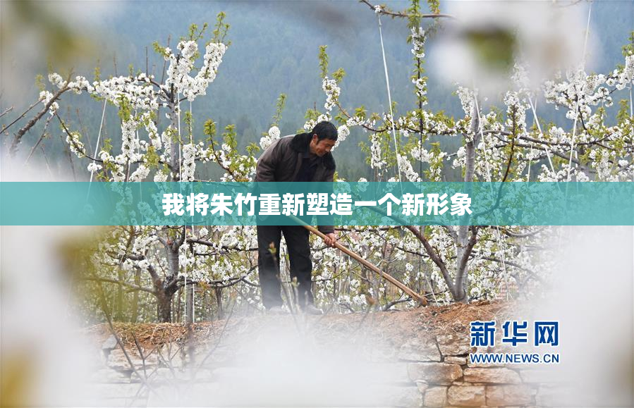 我将朱竹重新塑造一个新形象