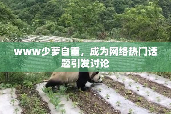 www少萝自重，成为网络热门话题引发讨论