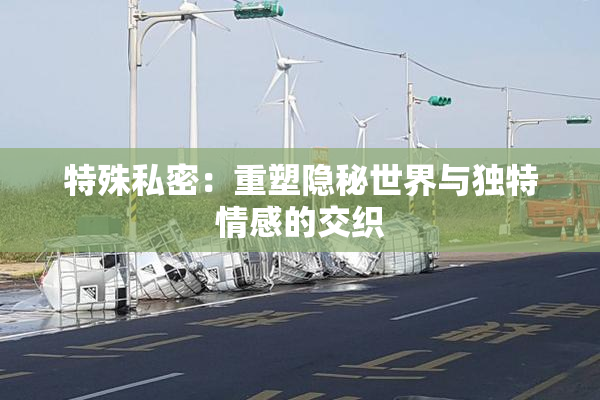 特殊私密：重塑隐秘世界与独特情感的交织
