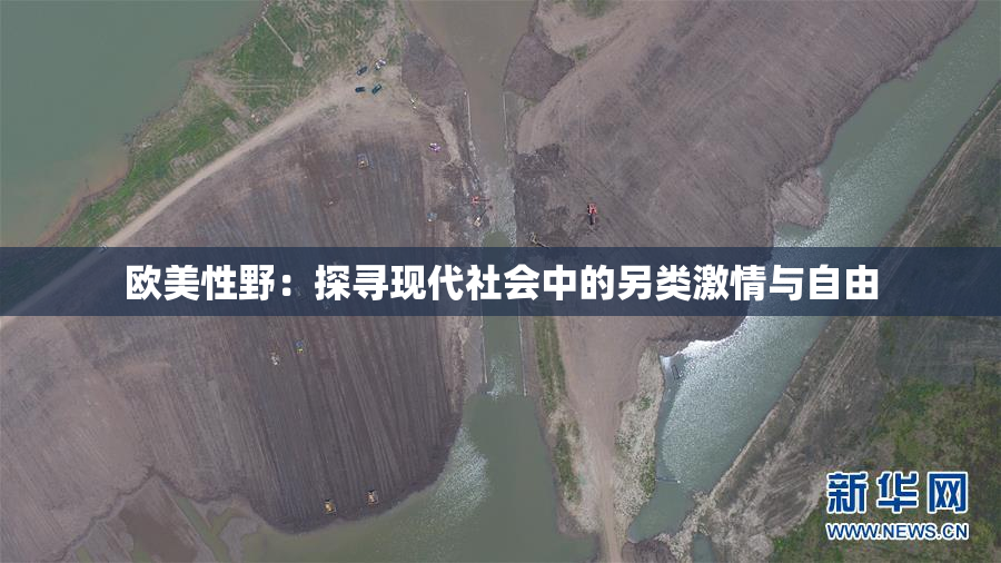 欧美性野：探寻现代社会中的另类激情与自由