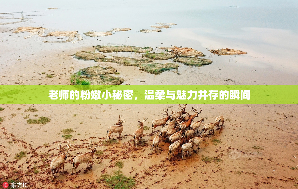 老师的粉嫩小秘密，温柔与魅力并存的瞬间
