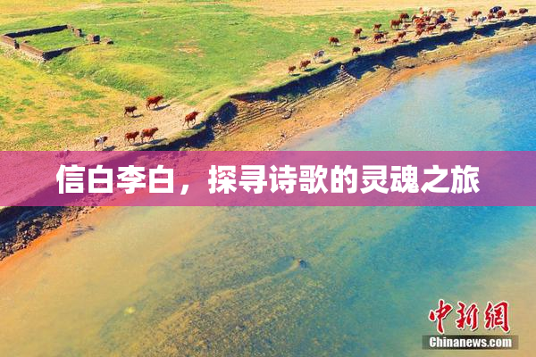 信白李白，探寻诗歌的灵魂之旅