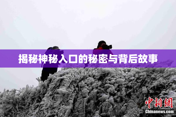 揭秘神秘入口的秘密与背后故事