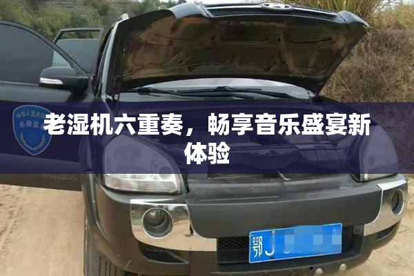 老湿机六重奏，畅享音乐盛宴新体验