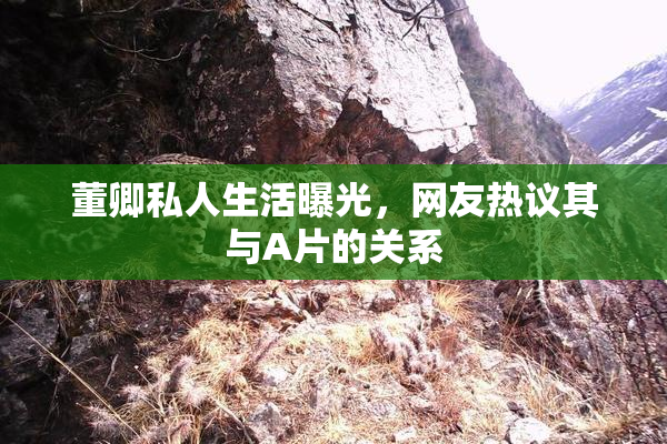 董卿私人生活曝光，网友热议其与A片的关系
