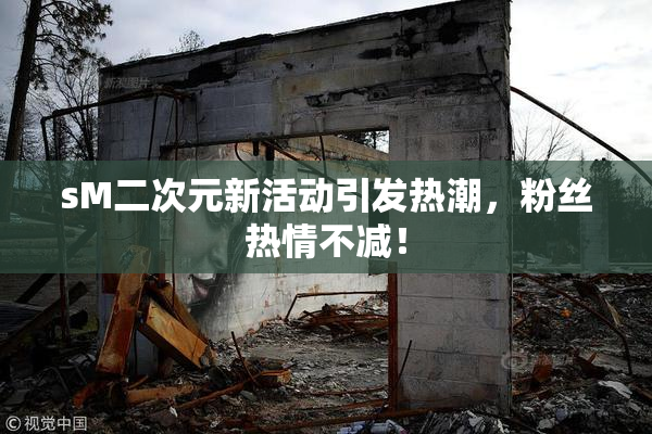 sM二次元新活动引发热潮，粉丝热情不减！