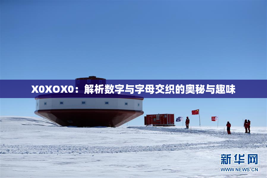 X0XOX0：解析数字与字母交织的奥秘与趣味