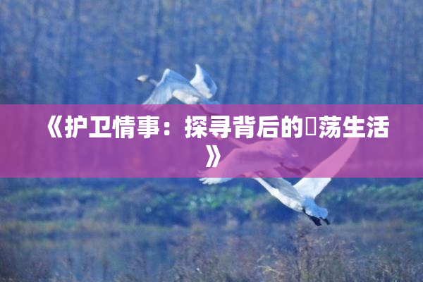 《护卫情事：探寻背后的婬荡生活》