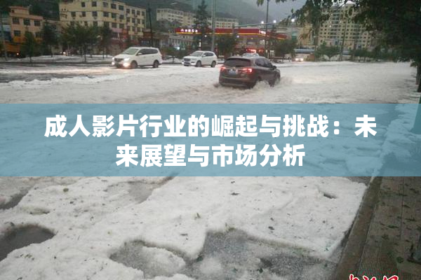 成人影片行业的崛起与挑战：未来展望与市场分析