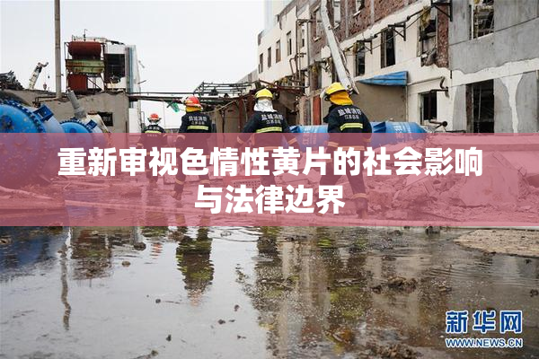 重新审视色情性黄片的社会影响与法律边界