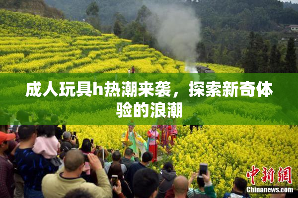 成人玩具h热潮来袭，探索新奇体验的浪潮