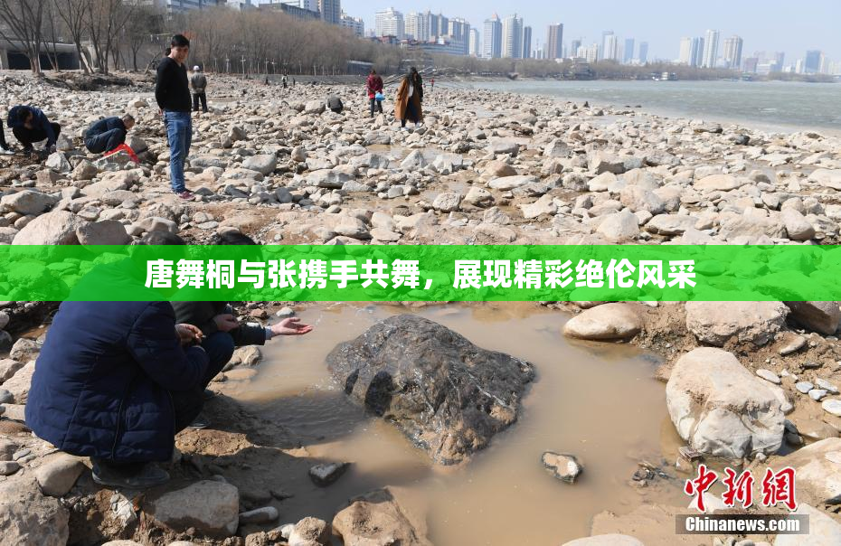 唐舞桐与张携手共舞，展现精彩绝伦风采