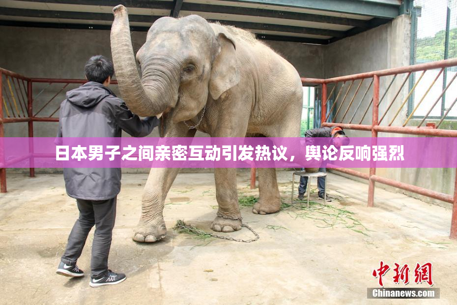 日本男子之间亲密互动引发热议，舆论反响强烈