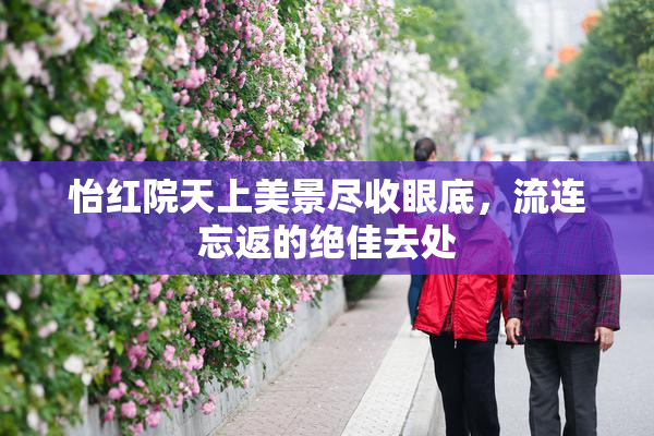 怡红院天上美景尽收眼底，流连忘返的绝佳去处