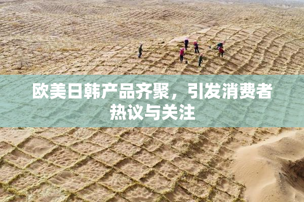 欧美日韩产品齐聚，引发消费者热议与关注
