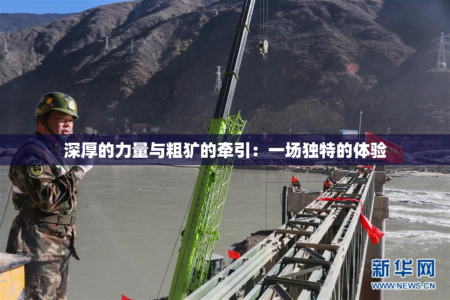 深厚的力量与粗犷的牵引：一场独特的体验