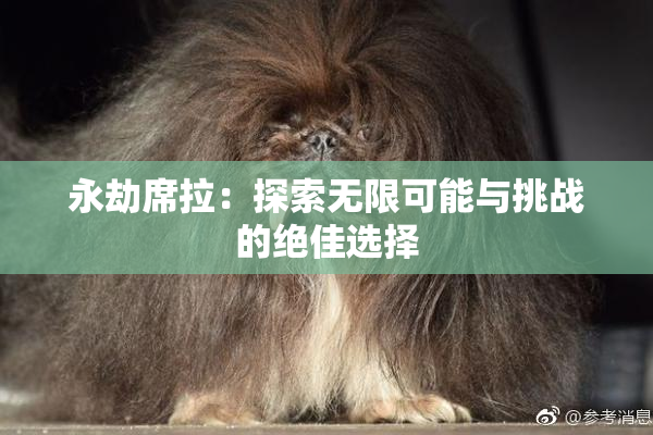 永劫席拉：探索无限可能与挑战的绝佳选择