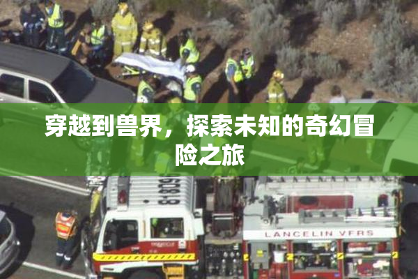 穿越到兽界，探索未知的奇幻冒险之旅