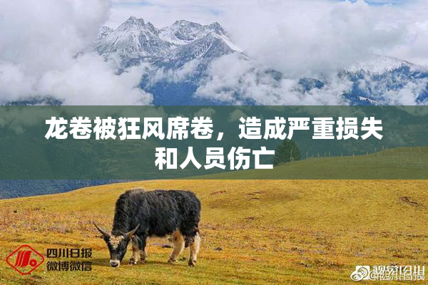 龙卷被狂风席卷，造成严重损失和人员伤亡