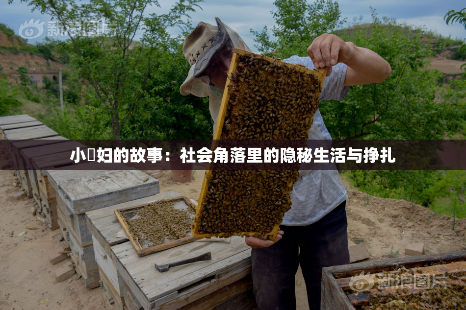 小婬妇的故事：社会角落里的隐秘生活与挣扎